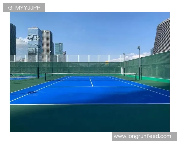 深圳网球队节奏之争引发热议球迷与专家各执己见